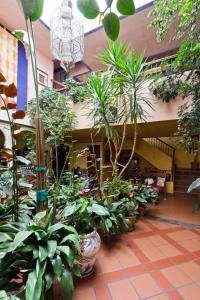 Zahrada ubytování Hotel De Mecina Fondales