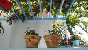 Ein Garten an der Unterkunft Sandalis Hotel