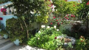 Ein Garten an der Unterkunft Sandalis Hotel