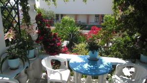 Ein Garten an der Unterkunft Sandalis Hotel
