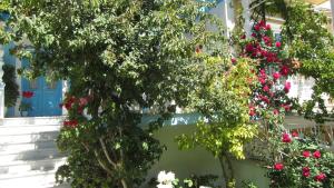 Ein Garten an der Unterkunft Sandalis Hotel