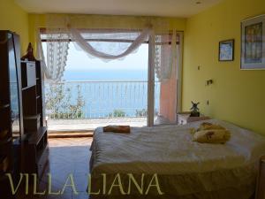 a bedroom with a bed and a large window at Villa Liana in Bozhurets