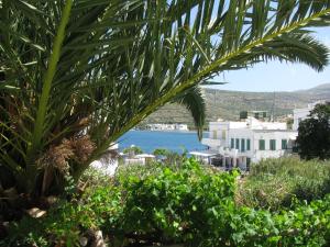 a view of the ocean from a palm tree at Anna Studios in Katapola