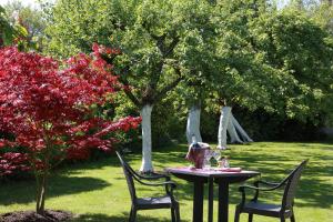 Zahrada ubytování Logis - Hôtel & restaurant Les Trois Fontaines