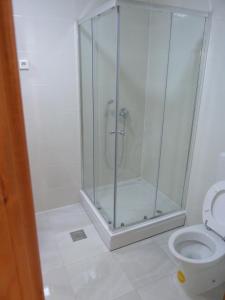 a bathroom with a shower and a toilet at Apartment Ivan-Experience 3 Bedrooms in Ljubuški