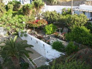 an overhead view of a garden with plants and trees at Anna Studios in Katapola