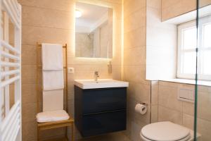 ein Badezimmer mit Waschbecken und Toilette in der Unterkunft KulturQuartier in Regensburg + 37 Fotos