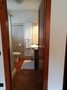 La salle de bains est pourvue de toilettes et d'un lavabo. dans l'établissement Ciasa Cimoliana, à Cimolais