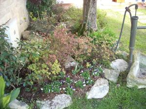 a garden with flowers and rocks and a tree at Alle Grazie in Casièr +2 photos