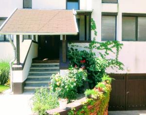 a house with a porch with a bunch of flowers at Rózsahegyi No.5 in Szigliget