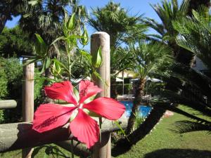 Gallery image of Residence dei Fiori in Campo nell'Elba
