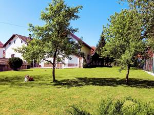 Zahrada ubytování Apartment Villa Zizzy