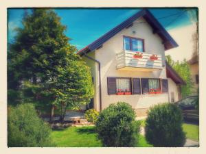 Zahrada ubytování Apartment Villa Zizzy