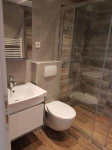Un baño con inodoro, lavabo y ducha. en Apartman Sevilya, en Kostrena 14 fotos más