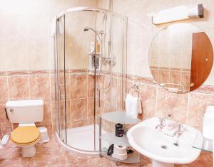 Bagno di The Harp