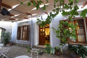 Κήπος έξω από το Rose Garden Hotel