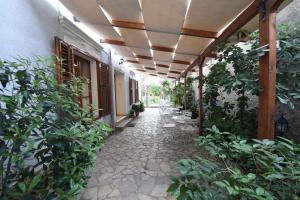 Κήπος έξω από το Rose Garden Hotel