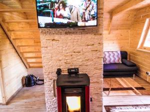 a living room with a fireplace and a tv at dom Bartków kielce in Zagnańsk