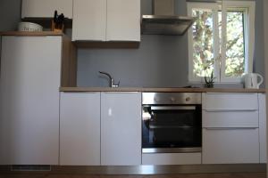 Kuchyň nebo kuchyňský kout v ubytování Apartment Blue ivy