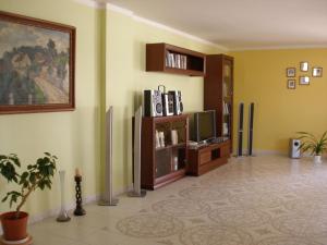 a living room with a tv and a couch at Apartmány Arnika in Horní Planá