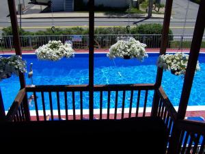 オールド・オーチャード・ビーチにあるSea Drift Motelの白い花が咲くスイミングプールの景色を望めます。