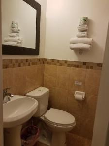 a bathroom with a toilet and a sink and a mirror at Scottish Inn - Okeechobee in Okeechobee