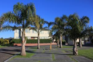 a row of palm trees in front of a building at Coronation Court Motel in New Plymouth
