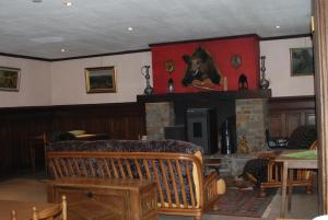 a living room with a fireplace and a couch at Le K d'Or in Bouillon