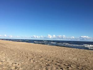 a beach with footprints in the sand and the ocean at Dado Apartments in Dziwnówek