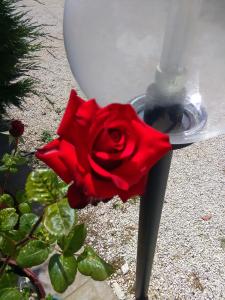 una rosa roja se fija a un poste de luz en Trulli Sarmenzanello, en Noci
