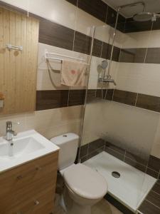 een badkamer met een toilet, een wastafel en een douche bij Chambre D'hôte "Les Tourtereaux" in Saint-Just-de-Claix