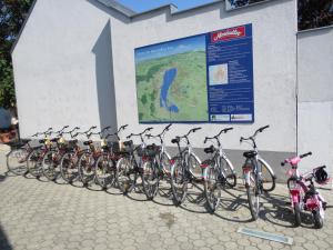 Attività di ciclismo presso l'hotel o nelle vicinanze