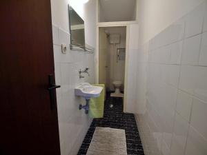 Koupelna v ubytování Apartman Balen J.