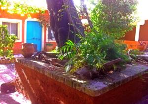 Vonkajšia záhrada v ubytovaní Corfu Town Garden Cottage
