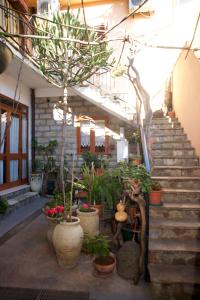 サン・ヴィートにあるAppartamento Ginepro Sardegnaの鉢植えの植物と階段が並ぶ建物