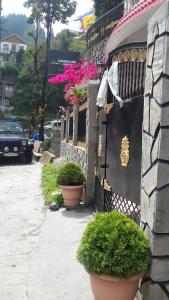 a group of potted plants on the side of a building at Tharbaling HomeStay in Darjeeling