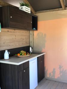 Küche/Küchenzeile in der Unterkunft New Camping Le Tamerici