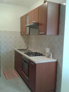 Kuchnia lub aneks kuchenny w obiekcie Apartmani Damiani
