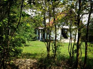 a white house through the trees in the grass at Przystan Kurpiowska in Turośl