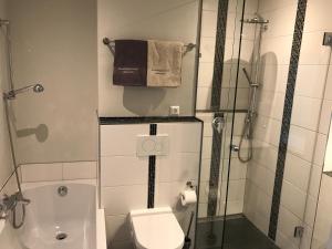 a small bathroom with a toilet and a shower at Meerblickappartement in Glücksburg