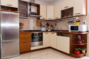 Kuchyň nebo kuchyňský kout v ubytování Apartment Marijeta