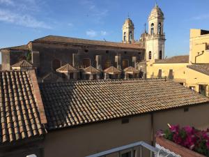カターニアにあるDuomo Sant'Agata Apartmentsの屋根付きの建物と大聖堂の景色