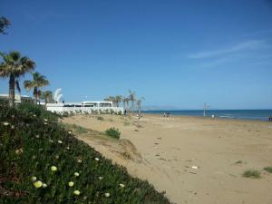 a sandy beach with palm trees and the ocean at Casa Gavi in Tre Fontane