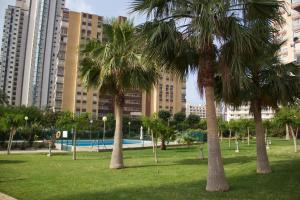 un parque con palmeras frente a edificios altos en Apartamento Parque Torresol, en Benidorm