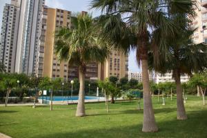 Piscina de la sau aproape de Apartamento Parque Torresol