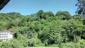 Paesaggio naturale nelle vicinanze dell'affittacamere