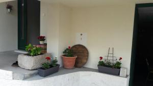 Zahrada ubytování Apartments Trešnja