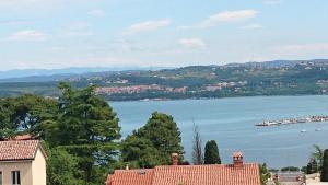 a view of a large body of water with houses at Apartment Vladka Koper in Koper