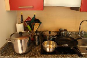 a kitchen counter with pots and pans on a stove at Chalet Presanella in Temù
