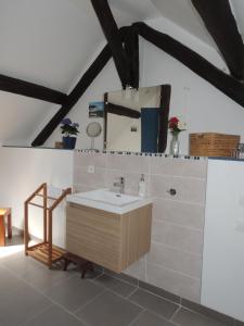 a bathroom with a sink and a mirror at Ilot Bonheur in Ury
